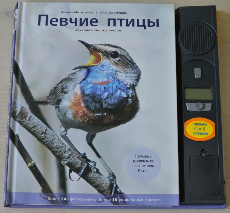 Певчие птицы