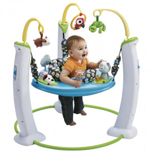 Evenflo Игровой центр ExerSaucer My First Pet