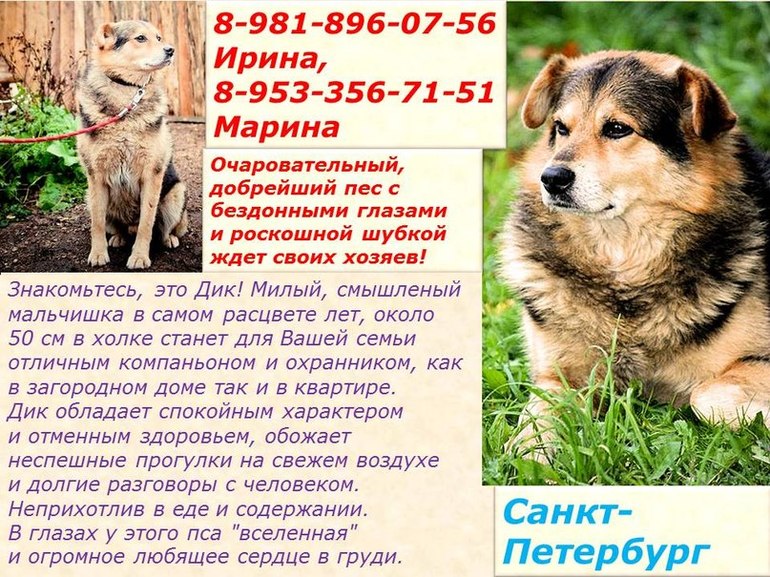 Дик