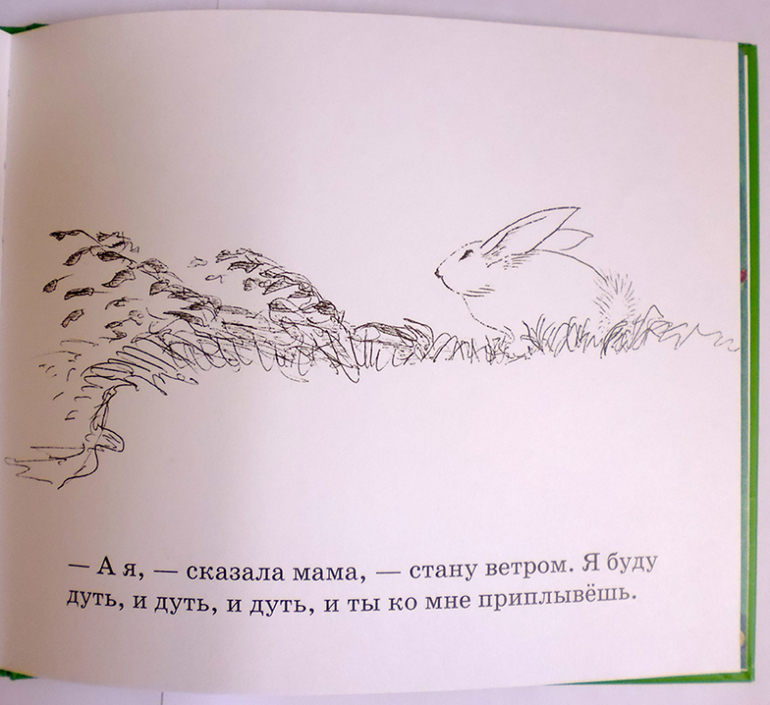 Все о кролике Питере и другие наши зайцы-иностранцы