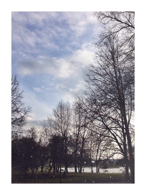 InstaNovember