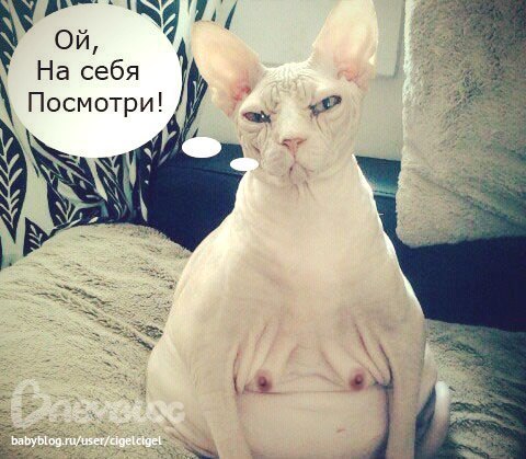 Ахаха)))