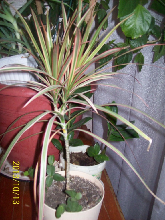 1ac6e0d508c0a6fa0cf891a840cd07da.jpg