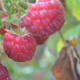 nastyak7@yandex.ru