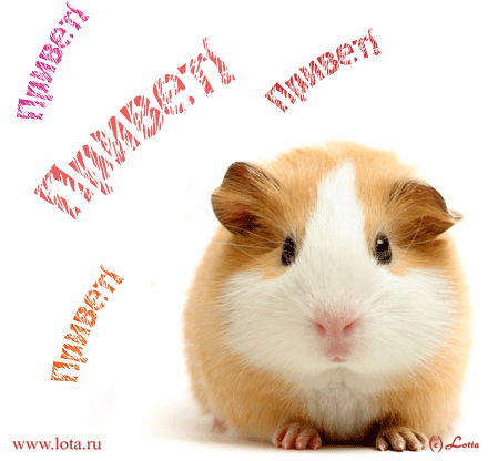 Все приветик! Добро пожаловать!!!