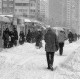 Алёна