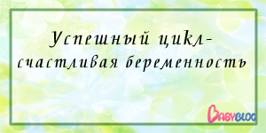 42f50553ae5ac51632a81a2ceb109ecd.jpg