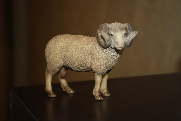 Djeco, Schleich, Larsen. Наши очередные приобретения.