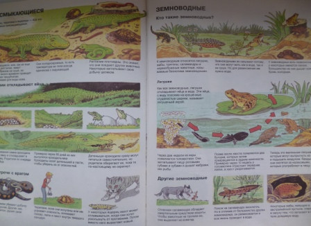 Книги из библиотеки 6