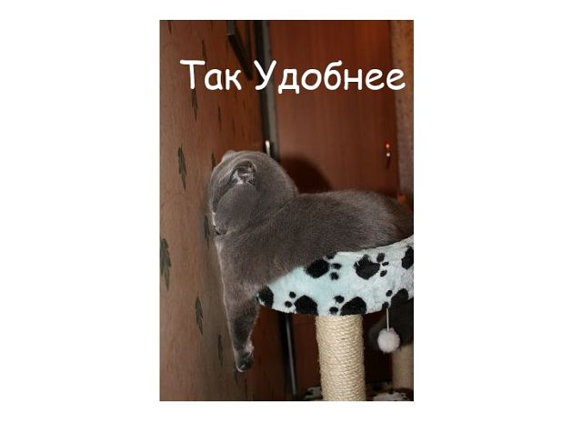 1f9fb469a7469a58350beff1dfd8bd68.jpg