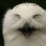 Аленький цветочек(Алена)