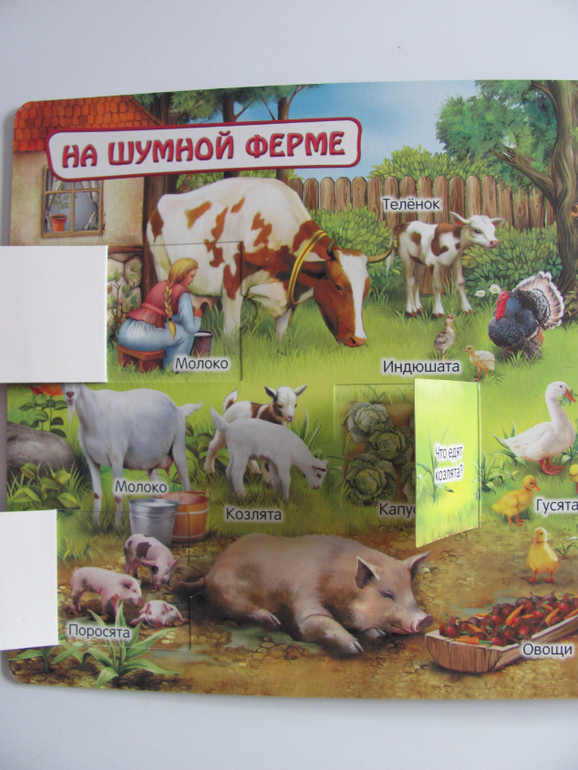 Животные -любимая книжка с окошками, НЕ АРКЕБУС))