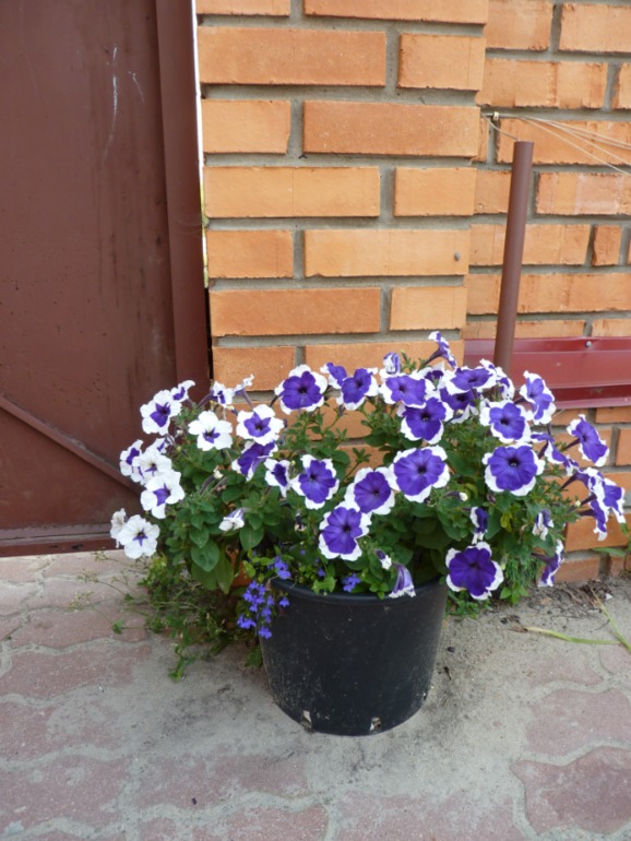 80e292ab4c9bd66c065e796a61932e0b.jpg