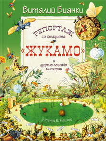 Репортаж со стадиона