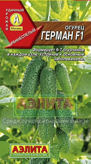 Огурец Герман F1