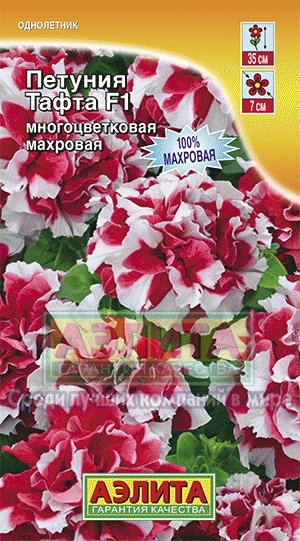 Петуния Тафта F1