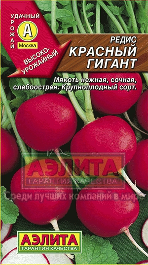 Редис Красный гигант