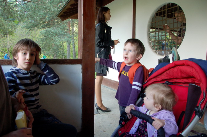 Сакура в ботаническом саду