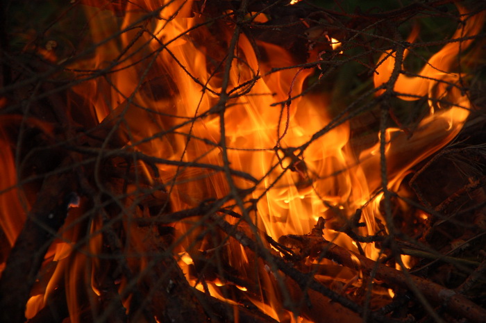 Одноночный многодетный поход