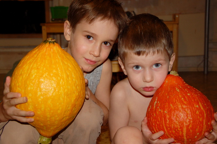 Сезон тыкв