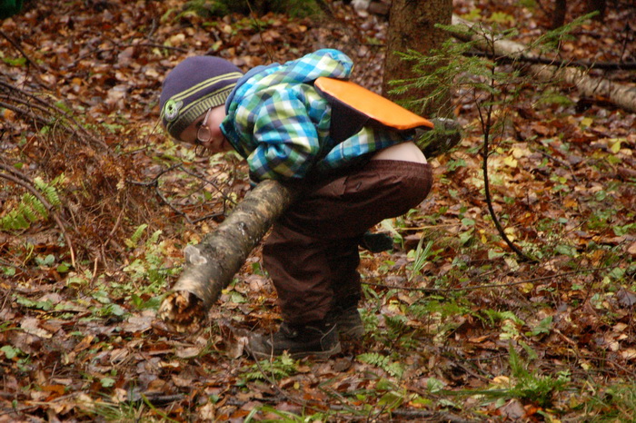 Школьный поход