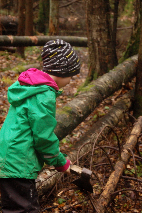 Школьный поход