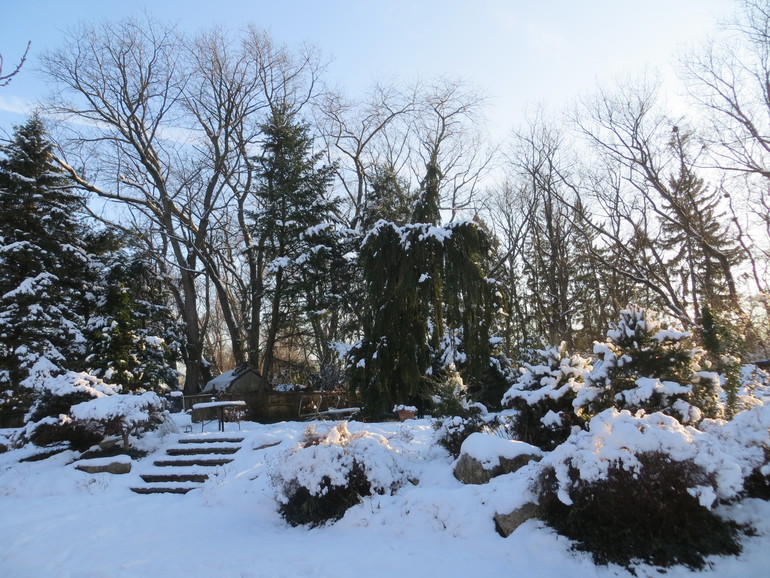 Снежный день