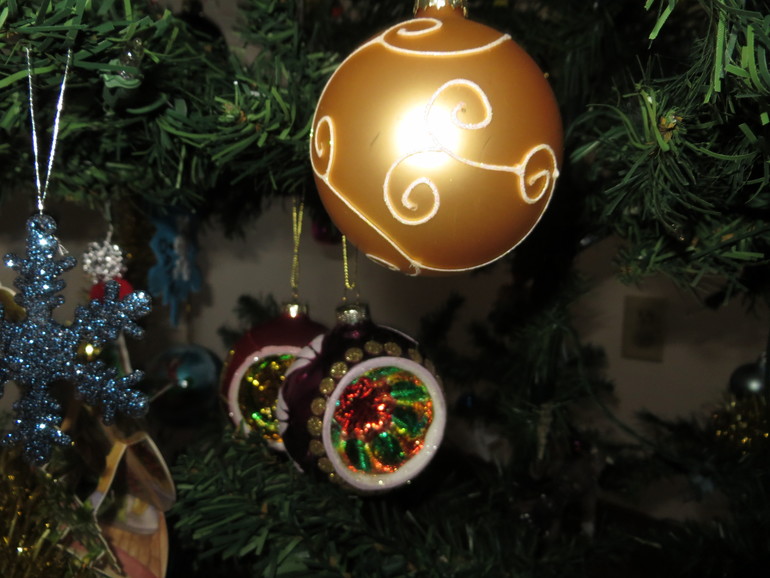 Наша ёлочка