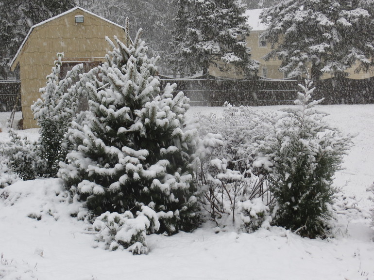 Снежный день