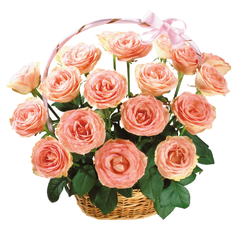 9222788cb13fb7f06b87c6c8902788b1.png