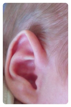 Лучику исполнился 1 месяц!