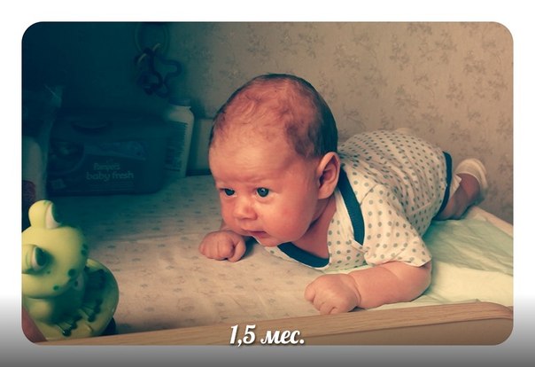 Полтора месяца!