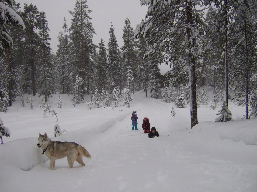 Наш январь. Часть 3