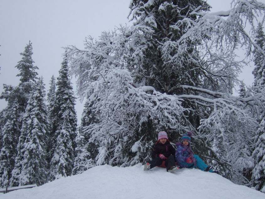 Наш январь. Часть 2