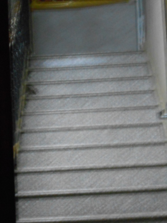 крыса на лестнице