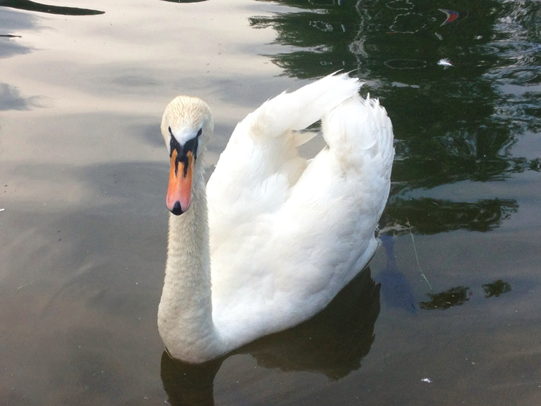 Выходные в семь озер