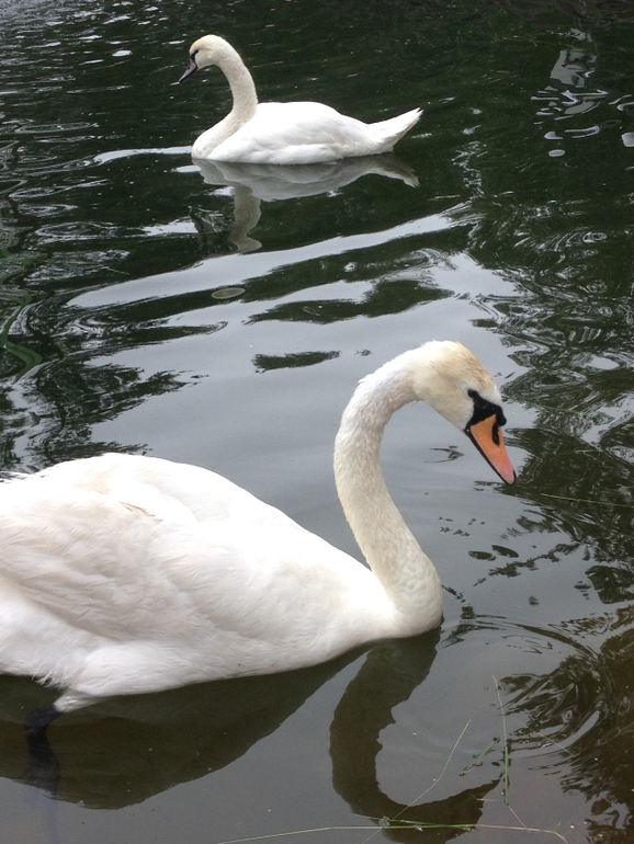 Выходные в семь озер