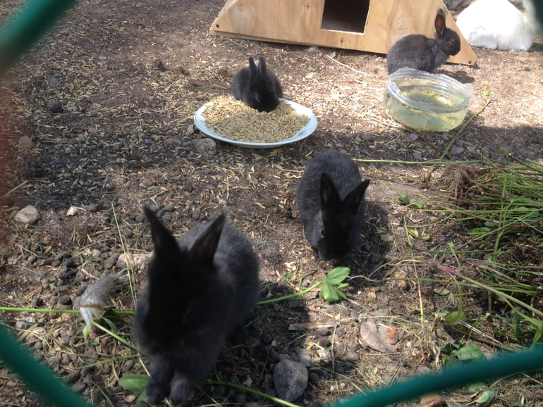 Выходные в семь озер