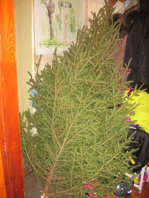 И вот она нарядная...