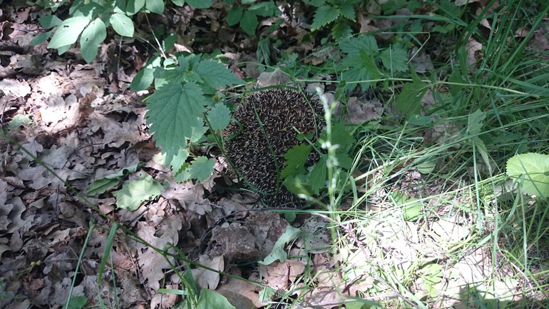 Мои самые любимые посты - про ЛЕТО!