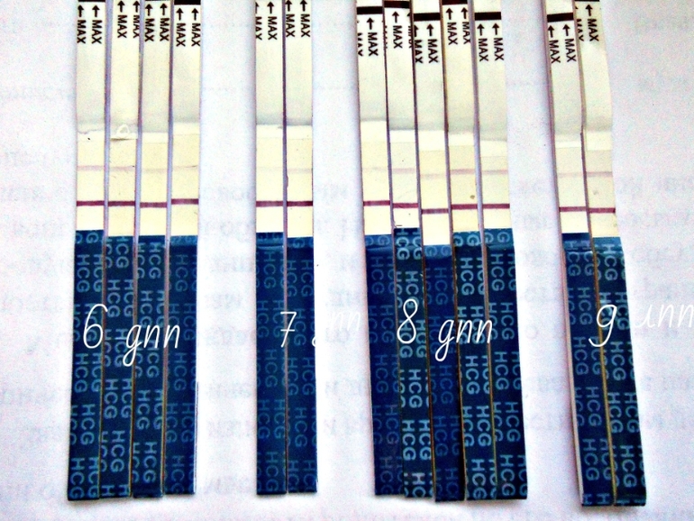 Динамики никакой.....9 дпп.Тесты играют.