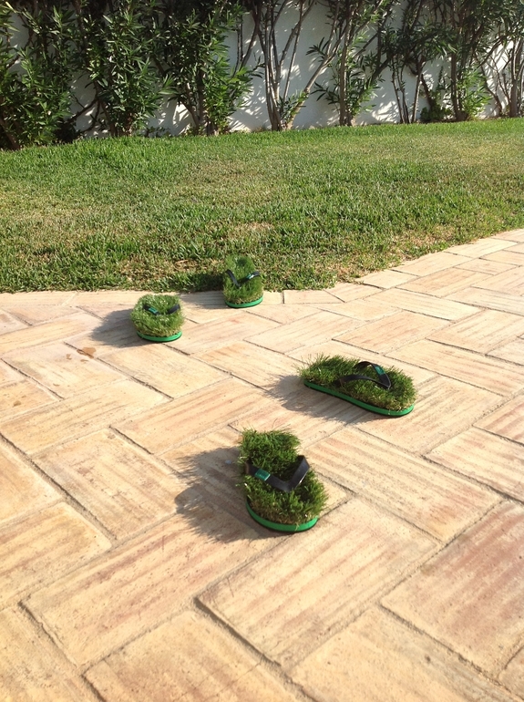 А нам нужны ? ТРАВ*О*ТАПКИ :)