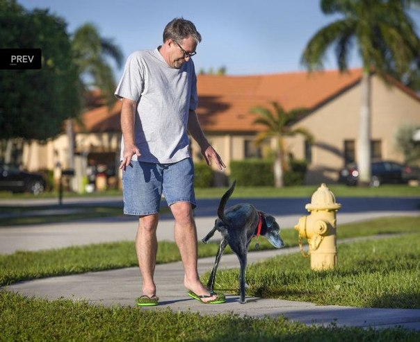 А нам нужны ? ТРАВ*О*ТАПКИ :)