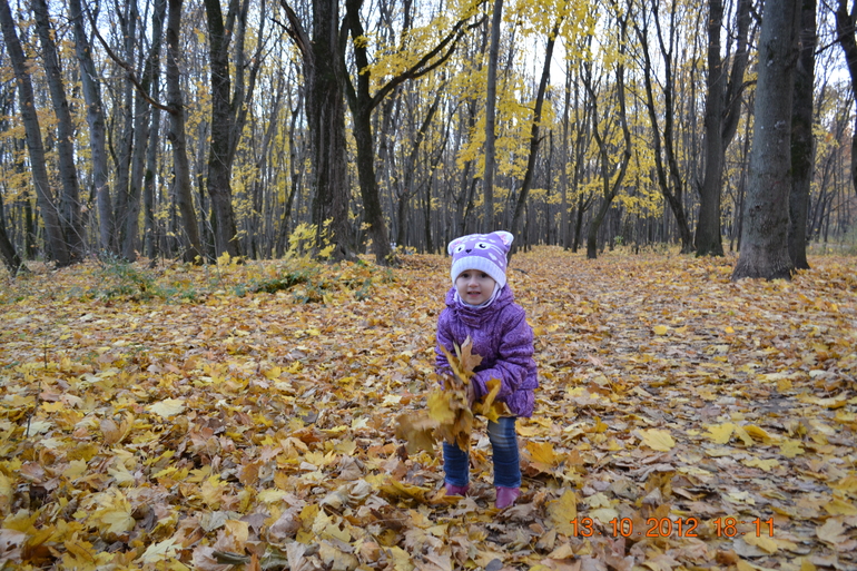 Всем привет