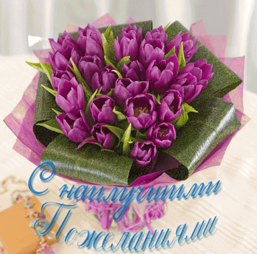 b3fec876cb40f5c8b185afacf309f942.gif