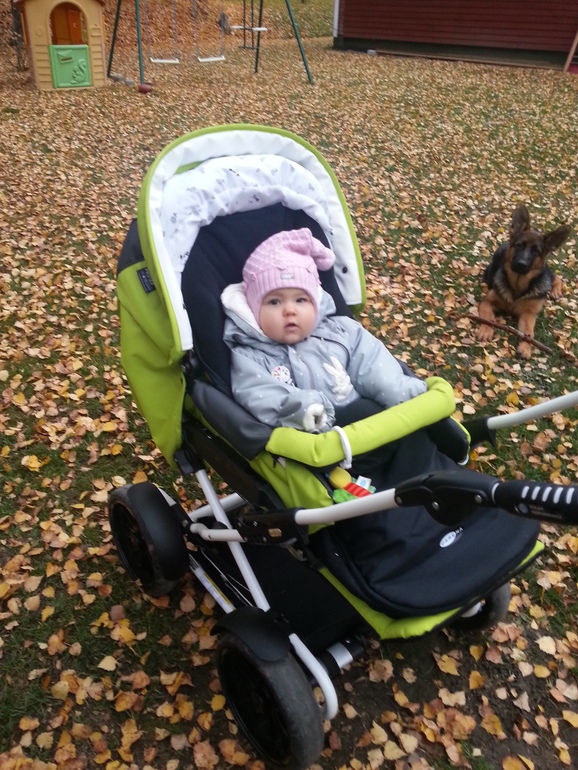 8 месяцев ¨наши фотки:)))