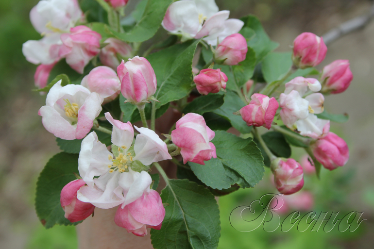 Контрольное задание № 12. 