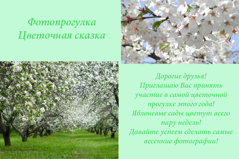 Фотопрогулка в Яблоневых садах
