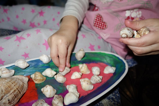 Лотерея 23. Ракушки.