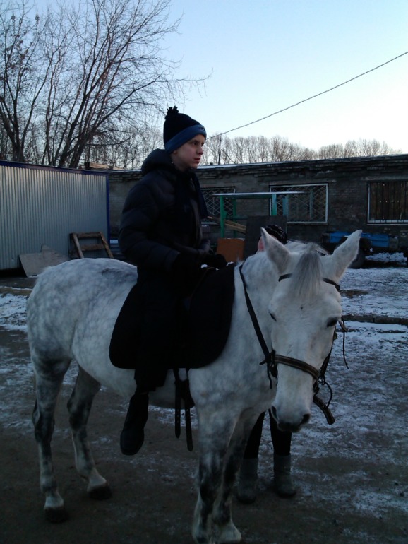 Иппотерапия